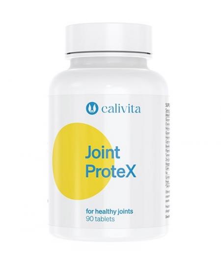 Joint Protex-90 tablete-Complex pentru protecţia articulaţiilor