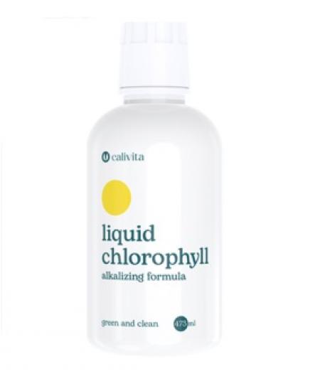 Liquid Chlorophyll-473 ml