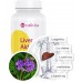 Liver Aid - Hepatoprotector Forte | 100 Capsule