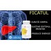 Liver Aid - Hepatoprotector Forte | 100 Capsule