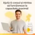Mega B Complex - 100 tablete-Megadoză de vitamine B