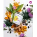 MPD Formula-90 tablete