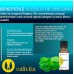 Oregano Oil - Ulei de Oregano Natural | 30 ml