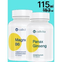 Pachet insomnie-   Panax Ginseng 100 tablete + MagneZi B6 90 tablete