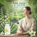 Pure Yucca Calivita: 100 de Capsule pentru Detoxifiere și Vigoare Naturală