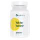 White Willow  - 100 capsule