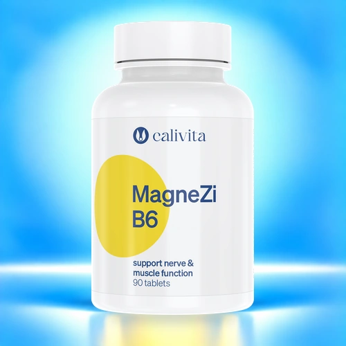 MagneZi B6